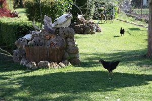 jardines en granja escuela Xuberoa