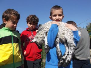 Visita a granja escuela Xuberoa en Pamplona