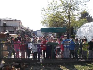 visita a granja escuela Zuberoa en Navarra