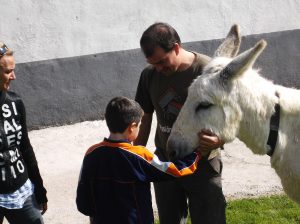 visita con colegio a granja de animales en Navarra